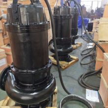 100WQ80-45-22иʽˮóཬ۱220Vûسˮ380VСǱˮ