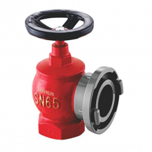 SN50室内消防栓DN50室内消火栓2寸消防水带阀门船用消防栓 室内栓