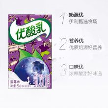 ݮζ250ml*24ţƷ 