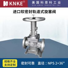 进口软密封轨道式旋塞阀 美国KNKE科恩科品牌