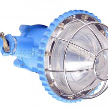 巡查设备 KL4LM(A) DGS18/127L 三乐照明
