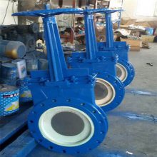 PZ273TC-16C ҺմɵբͳˢմɵբP Z273TC բ DN800 Һբ
