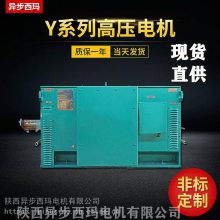 Y4506-4/630KW/10KV綯ͨCE֤