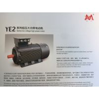 YE2-355L2-4-355KW