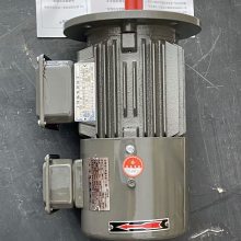 Ϻ¶ Ƶٵ綯YVF2-225M-4 45KW ҶͺŶ