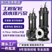 泥浆污水潜污泵12寸口径大功率大流量专用污水提升泵300WQ650-7-22