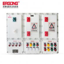 煤化工磁选机浮选机电源控制箱二工防爆动力电源箱