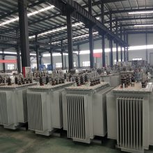 ˫S11-1000KVAͽʽѹ 6kv 11kvֵѹֶ֧