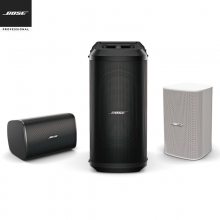 Bose/博士 Professional 810 KTV音响家庭主扩2只+低音 套装