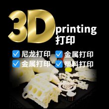 3Dӡ֬׮ģ