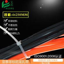 Ʒɫߴ ʽ4 250mm250ɫ