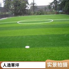 铜川人造草坪施工报价人造彩色草坪 幼儿园彩虹跑道仿真植物草