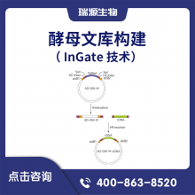 ĸĿ⹹In-Gate 