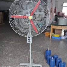 供应长沙工业用壁式落地式防爆摇头电扇BTS/FB-500-380V