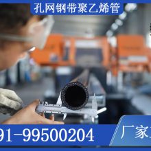 ϲDN100 20 ִϩϹ ں10mm 6m/
