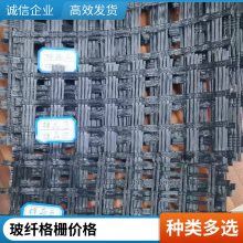 世杰塑料方格网 矿用路基加固格栅 双向钢塑格栅土工网格