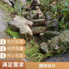 庭院大型奇石 轩阳 异形龟纹石 公园装饰景观石 任意挑选