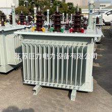 20KVͽʽѹ S11-200KVA/20KVͽʽѹ վ