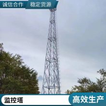 气象监测塔 测风雷达塔 民航导航塔 停车场监控塔