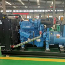 YC6K500-D30ͻ 300KW