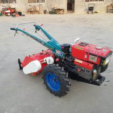 ոѷ黹 Сաݻ ոѷ