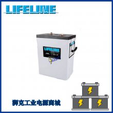 LIFELINEGPL-4CTѭ6V220AHӦԴ