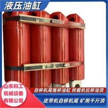 116SEGA0101ض۲֧תػҺѹ͸ DG-200/1100ǧﶥ