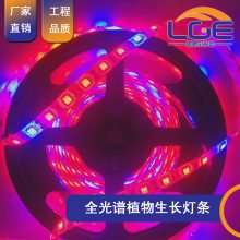 多肉番茄花果植物补光灯带红蓝相间5050led60珠12V24V软灯条