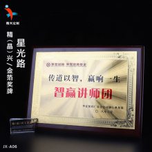 托木奖牌 保险慈善基金会授课荣誉奖牌 企业知识产权实务谋略讲师团队木牌