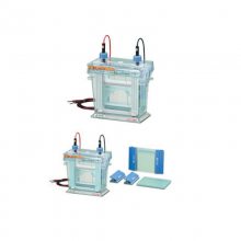 ATTO AE-6510 Resolmax双重迷你平板电泳槽 用于蛋白质的分离和鉴定