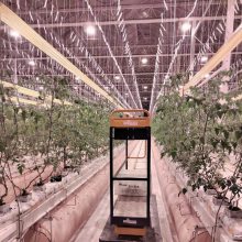 昱泰 温室大棚补光灯 高压钠灯 植物生长灯 YTWSBG0208