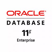 Oracleݿ/ 11gҵ Processor PerpetualOracleۡ
