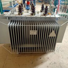 S20-M-1000KVA/102*2.5%/0.4 ȫܷͽʽѹ ɶ˹ʹ