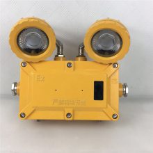 JG-ZFZD-E6W(yng)p^LED(yng)