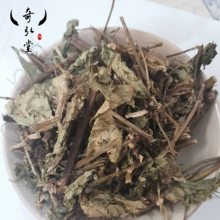 中药材火炭母的功效与用法