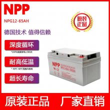 NPP12V65AHֱ̫UPSԴ12-65AH