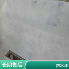 防水防腐漆 特种涂料 污水池化粪池耐酸碱池防腐防水涂料