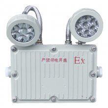 Ӧ Ӧƾ2*5W ˫LED־BAJ52
