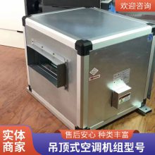 吊顶式中央空调通风设备恒温恒湿远程射流机组直膨组合式新风机 酒店商场净化型中央空调
