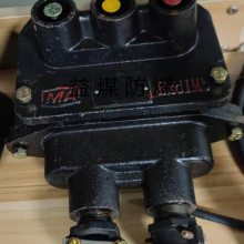 BZA10-5/36ưť Ӧú÷ưť