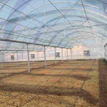 天津飞龙制管牛头牌25*1.5草莓棚