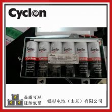 ŵ˹Cyclon0800-0004ҽе 2V-5.0AH