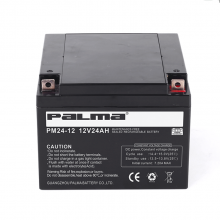 PALMA PM24-12 Ǧά12V24AH UPSԴ ֱ