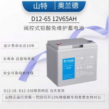 山特/奥兰德蓄电池 D12-18 12V/18AH 铅酸免维护 阀控式密闭电池