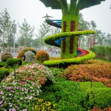 四川德阳雕塑摆件 ,运动人物造型植物景观绿雕定制厂家