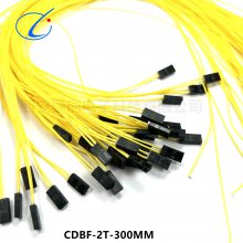 2оͷ CDBF-2T1-300MM CDBF-2T-300MM  Ӳ 괴