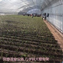 蔬菜种植双膜大棚骨架 温室大棚 种植大棚 养殖大棚