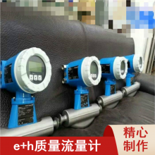 E+H83E80 ṹչҵԶǱE+H  80F08