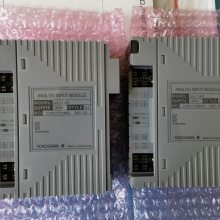 YOKOGAWA日本横河DCS卡件AAI141-H53/A4S00输入模块