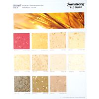 Armstrongͬ͸ĵذ